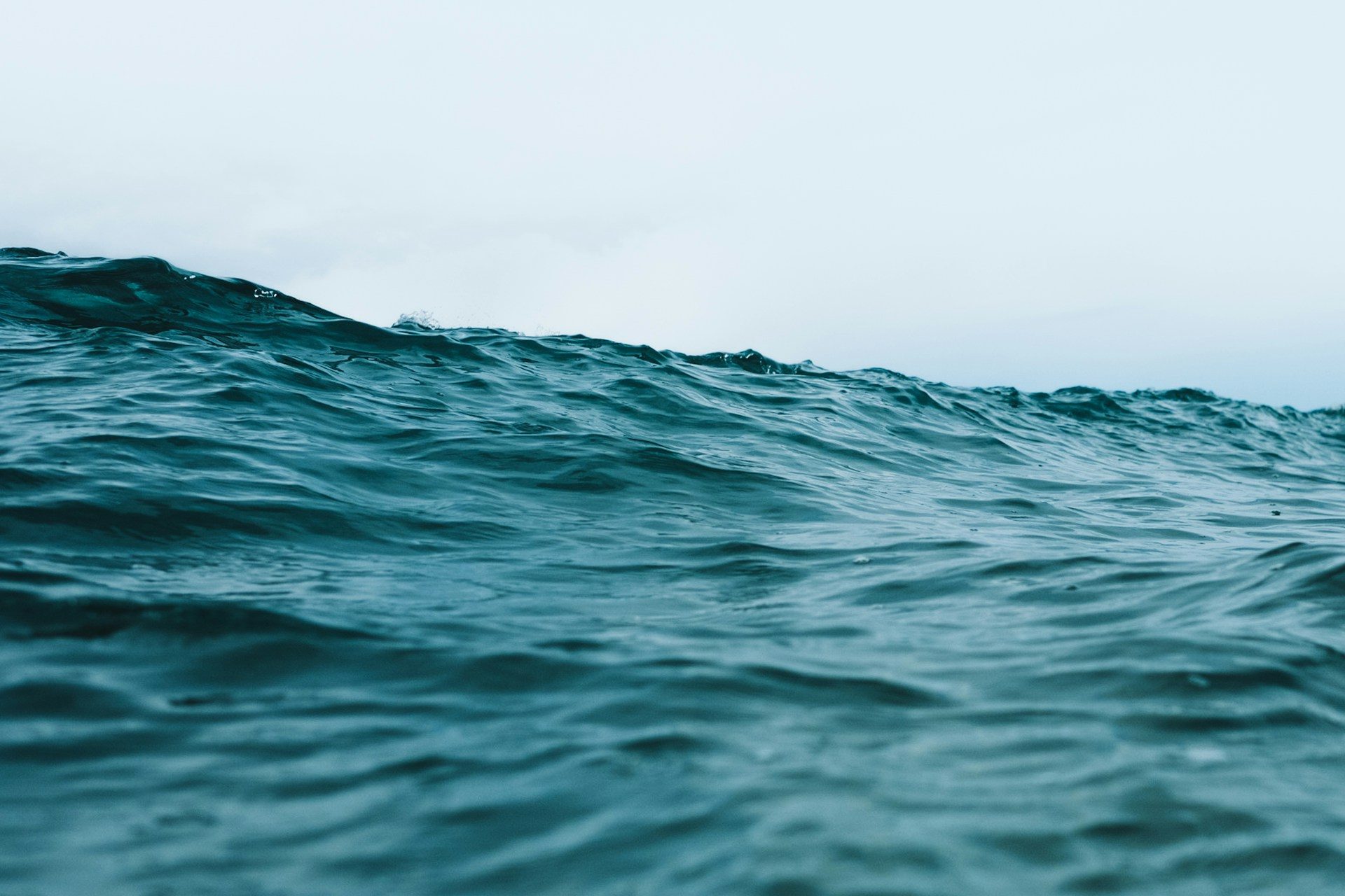 A slow wave of deep blue-green sea beneath a pale, overcast sky
